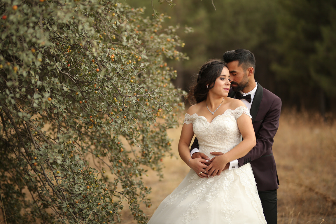 Wedding Photography of a Romantic Couple Standing near Green Plants